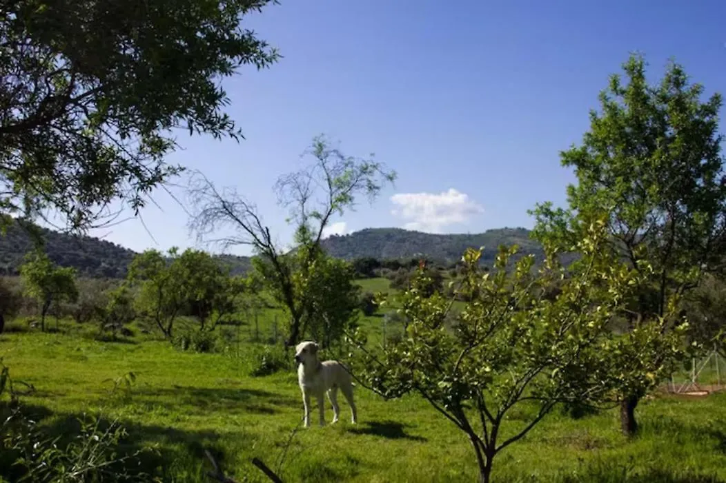 Finca Los Natachos Coin 0*,